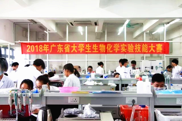 化能学院学生荣获广东省生物化学实验技能大赛二等奖02.jpg